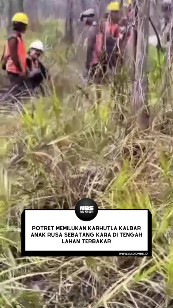 Dalam video yang beredar, petugas terlihat menyisir area bekas terbakar sambil melakukan pemantauan menggunakan drone