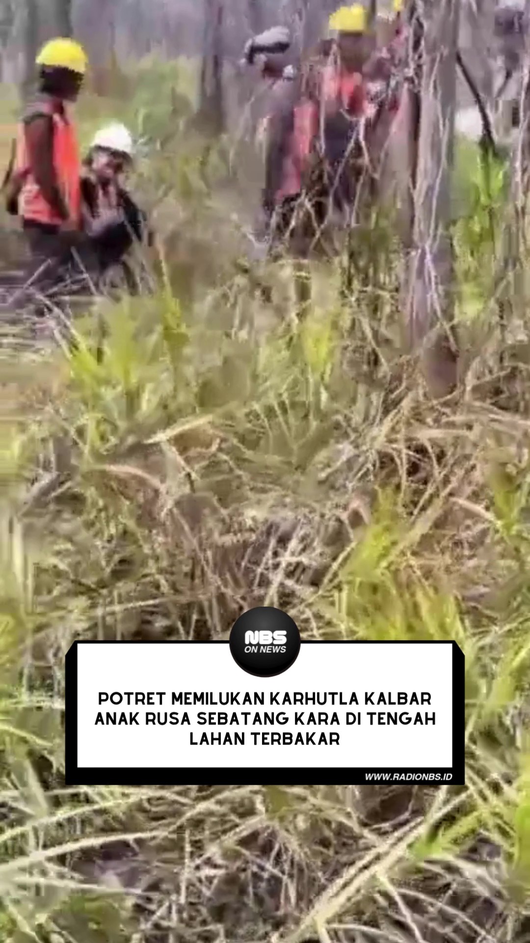 Dalam video yang beredar, petugas terlihat menyisir area bekas terbakar sambil melakukan pemantauan menggunakan drone